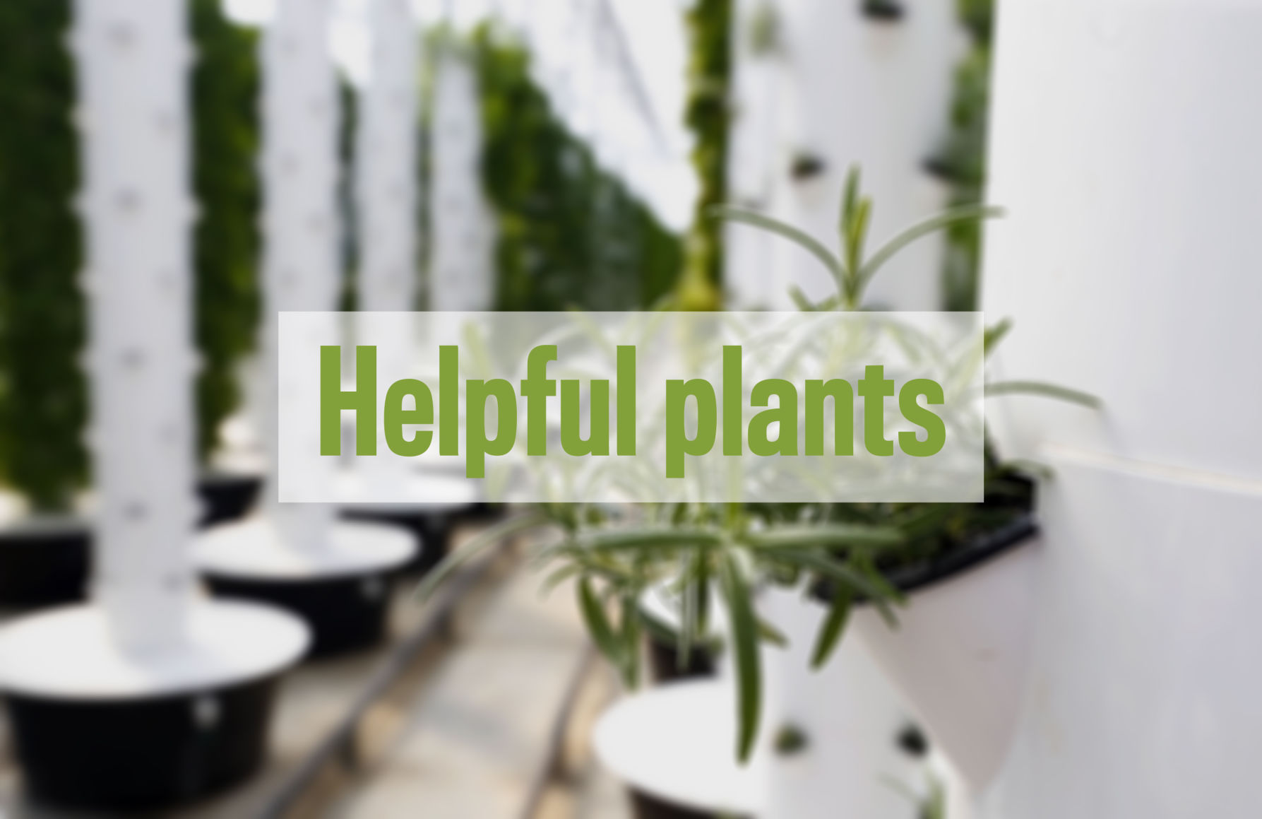 Helpful plants